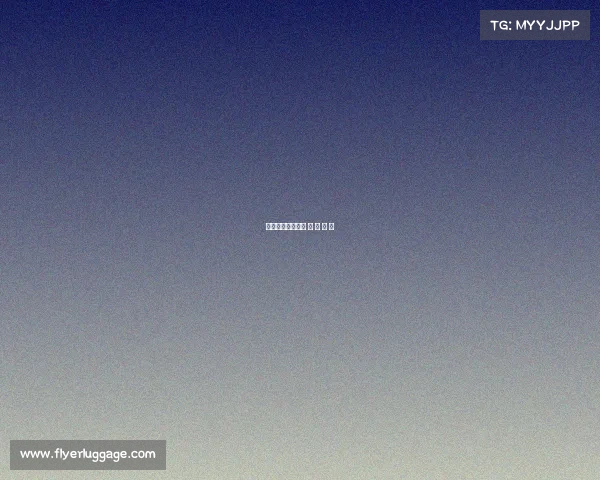 电子竞技竞技游戏 电 子 竞 技